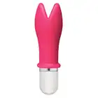 15365_PINK_01