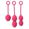 Svakom - Nova Kegel Balls. Zestaw progresywnych kulek Gejszy.