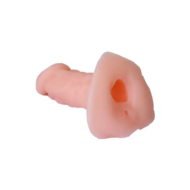 BI-016006N_04