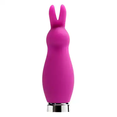 Crazy Bunny