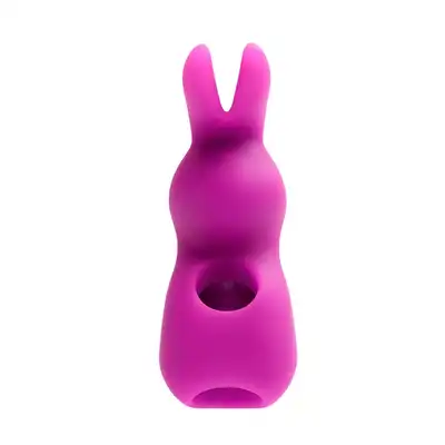 Spunky Bunny