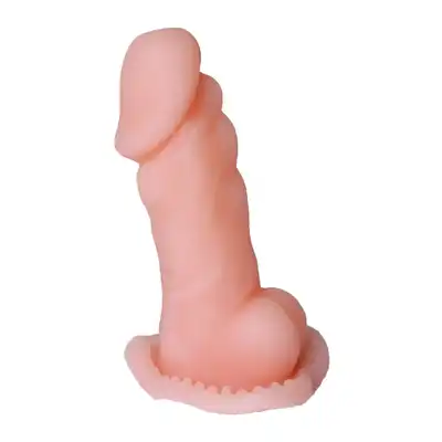 BI-016006N_01