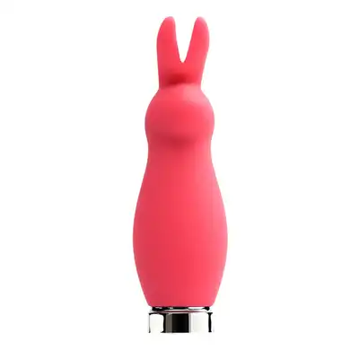 Crazy Bunny