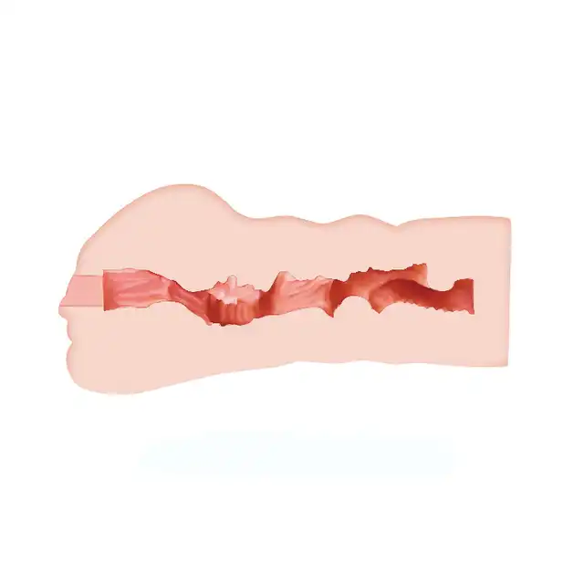BM-009154U_4
