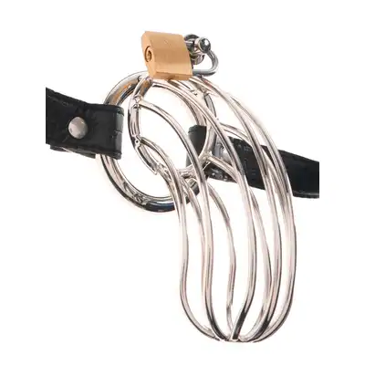 Fetish Fantasy Extreme The Prisoner - Silver/Black
