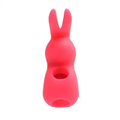 Spunky Bunny