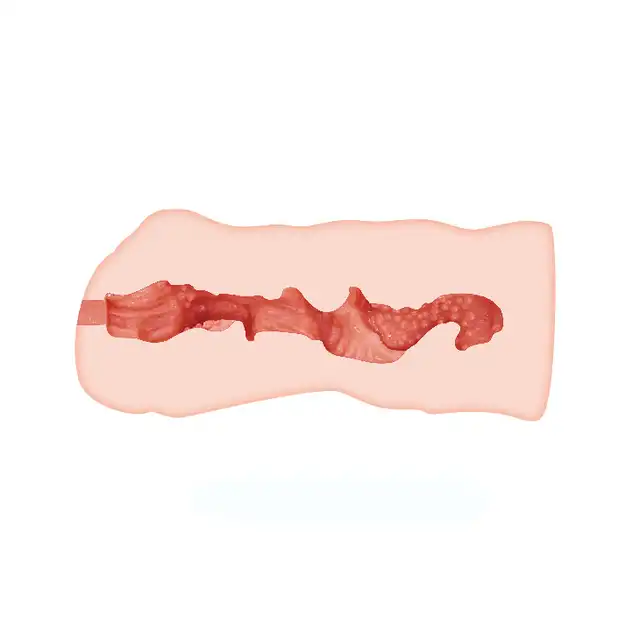 BM-009155U_4