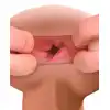05427250000_5