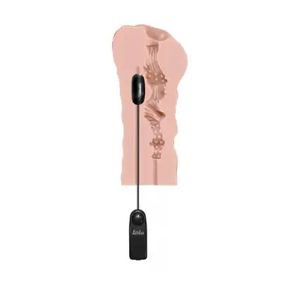 Masturbator Satisfaction Vibro Night Wish