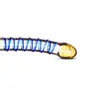 Gildo - Glass Dildo No. 1. Grube szklane dildo ze stymulującymi wypustkami. 