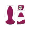 13685_PURPLE_06
