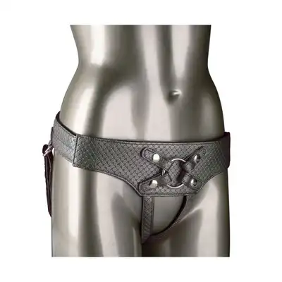 12862_SILVER_01