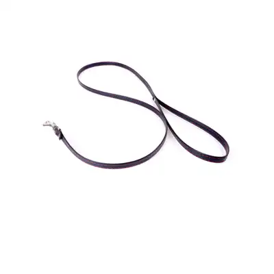 Fetish Boss Series Leash Red Line