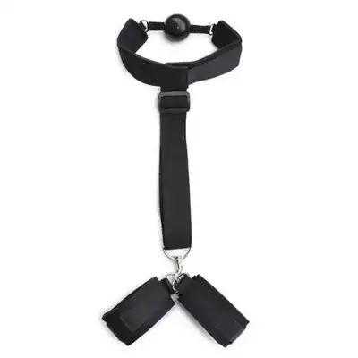 Toyz 4 Lovers - Bondage Back Restraint and Gag. 