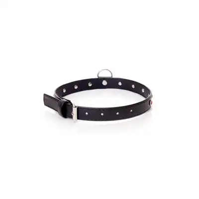 Fetish Boss Series Collar - 2 cm pink crystal
