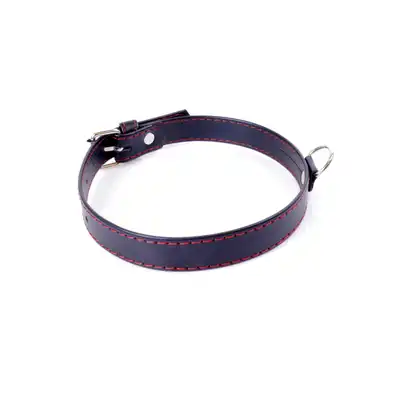 Fetish Boss Series Collar  2cm Red Line