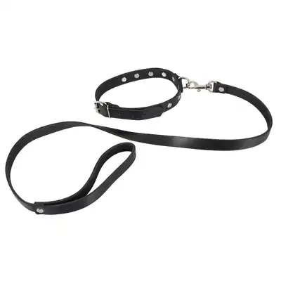 Leather Collar and Leash