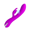 BI-014581_3.GIF