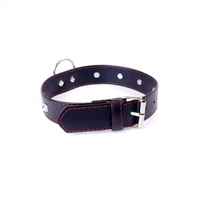 Fetish Boss Series Collar with studs 3 cm Red Line