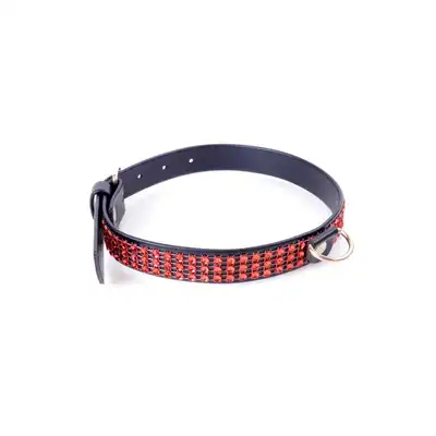 Fetish Boss Series Collar with crystals 2 cm Red Line