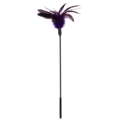 Sportsheets - Starbust Feather Violet. Piórko do głaskania z prawdziwego pierza. 40 cm długości!