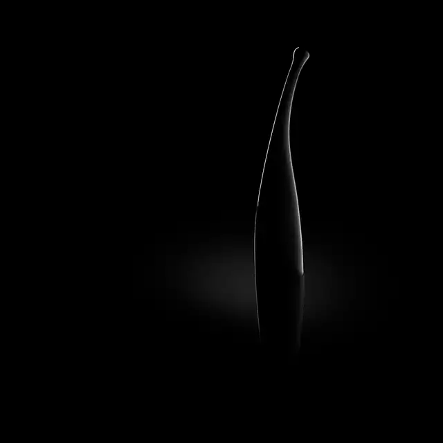 55-SEN001BLK_5