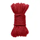 15753_RED_01