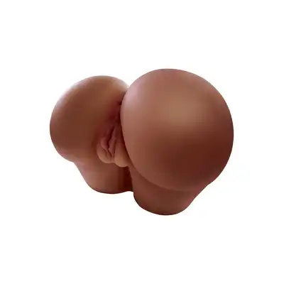 3000013279
