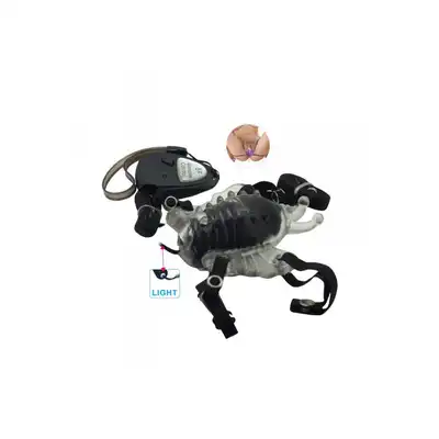 Stymulator-5-FUNCTION REMOTE CONTROL BUTTERFLY PUSSY VIBE