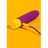 11006_PURPLE_04