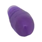 3001068303