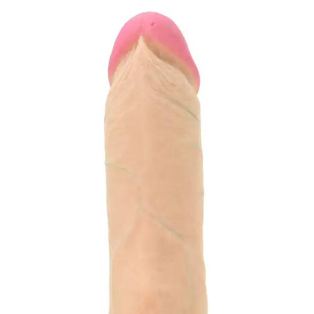 3000004269