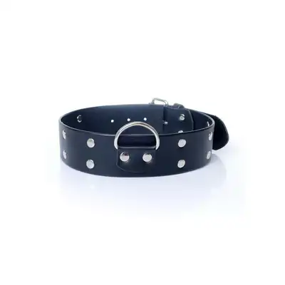 Fetish Boss Series - Collar with studs 4 cm. Obroża z kolcami. Prosta regulacja, wygodna szerokość.