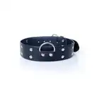 Fetish Boss Series - Collar with studs 4 cm. Obroża z kolcami. Prosta regulacja, wygodna szerokość.