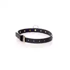 Fetish Boss Series - Collar Turqoise Crystal 2 cm. Obroża z kryształkami. Prosta regulacja, wygodna szerokość.