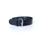 Fetish Boss Series - Collar with studs 4 cm. Obroża z kolcami. Prosta regulacja, wygodna szerokość.
