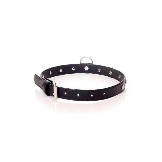Fetish Boss Series - Collar Silver Crystal 2 cm. Obroża z kryształkami. Prosta regulacja, wygodna szerokość.