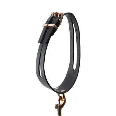 GP PREMIUM COLLAR LEASH SET BLACK