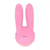 Femme Toys - Bunny Funny. Króliczek stymulujący łechtaczkę. Aksamitnie gładka powierzchnia, dyskretny wygląd. 