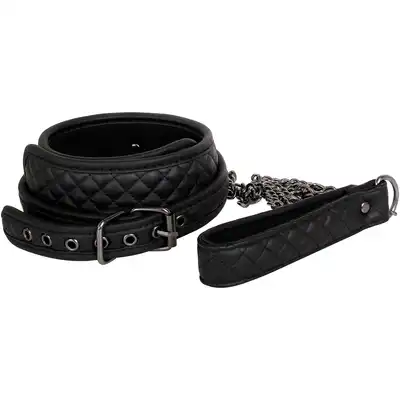 A&amp;E EVES FETISH DREAMS COLLAR &amp; LEASH