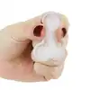 LoveToy - Pecker Ice Tray. Forma do czekoladek, lodu lub galaretek. Zabawny upominek. 