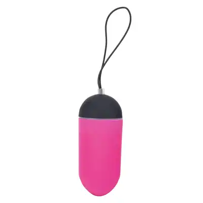 ALL TIME FAVORITES 10F REMOTE EGG DISPLY