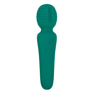 A&amp;E EVES PETITE PRIVATE PLEASURE WAND