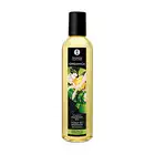 Shunga - Klonowy, organiczny olejek do masażu.