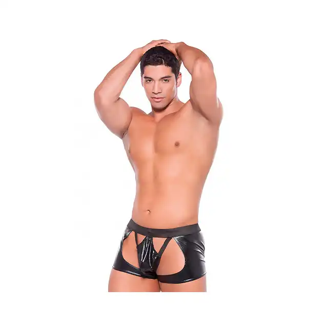 Zeus Allure - Wetlook Chaps With Thong. One Size