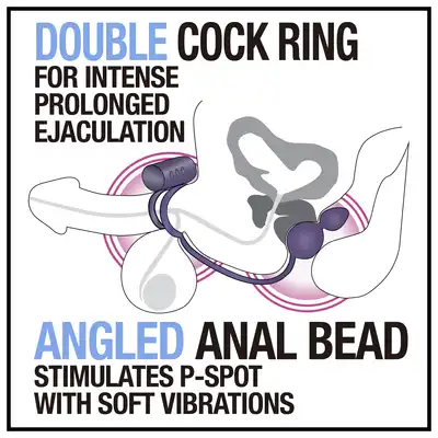 ANAL ADVENTURES ANAL PLUG WITH C-RING