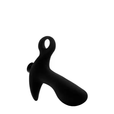 ANAL ADVENTURES PROSTATE MASSAGER 01