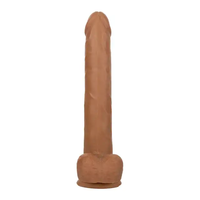 14513_BROWN_08