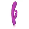Calexotics - Embrace Purple. 