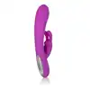Calexotics - Embrace Purple. 
